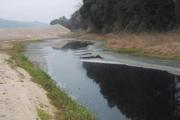 四川PAM水處理絮凝劑處理效果怎么樣